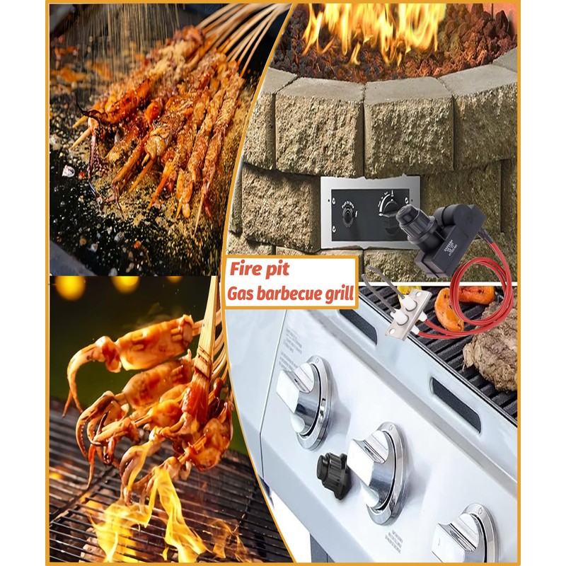 Duheri Double Ignition Kit Electronic Igniter with Double Ignition Electrode,
