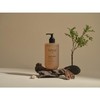 Forest Mild Nut Body Wash / Main Body / 16.9