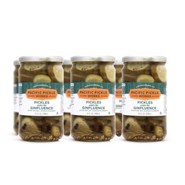 Pickles Under the Ginfluence - Thick-Cut Pickle Chips with Gin, Jalapeño, Rosemary for Snacking - Speciality Pickles with Gin - non-GMO, Kosher, Gluten-Free 24oz (6-pack)