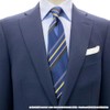 Florene Necktie, JoJo's Bizarre Adventure Part 3 Necktie, Jotaro JJN000005-001,