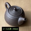 Landscape.com Tokoname Pot, Teapot, 205i, Black, 10.1 fl oz (310