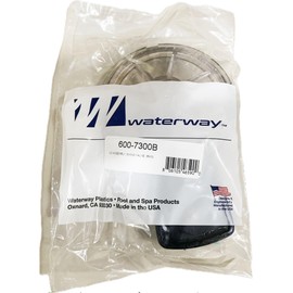 Waterway Plastics 600-7300B TruSeal Swing Check Valve and Lid Same as 600-7300