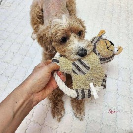 강아지 터그놀이 모양과잉행동교정 전신운동bcd648 Puppy Tug Toy Shape and Excessive Behavior Correction Full Body Exercise bcd648