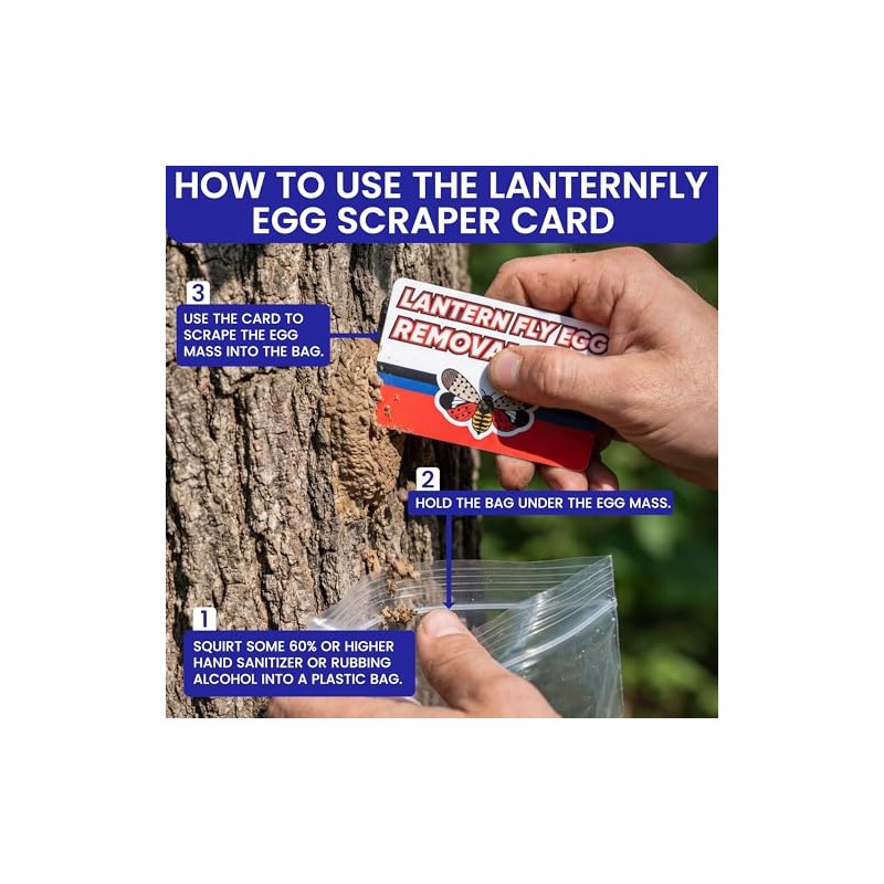 Spotted Lantern Fly Trap for Trees. 3 Sticky Fly Paper