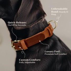 MIDOG Two-Tone Genuine Leather Dog Collar - Soft & Durable, Adjustable Rust-Proof Metal Buckle, Suitable for Small, Medium, and Large Dogs (Brown, XS: 0.6" Wide for 10"-13" Neck)