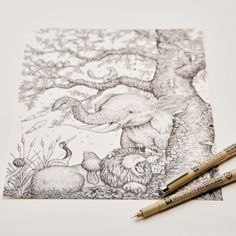 PIGMA MICRON Sakura 02 Black 2 Pack and Sakura 01