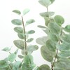 Artificial Eucalyptus Tree,7ft Tall Fake Silver Dollar Trees,Potted Faux Eucalyptus