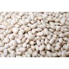 CZ Grain 50 Navy Bean Seeds for Planting Grow White