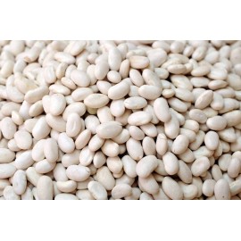 CZ Grain 50 Navy Bean Seeds for Planting Grow White Kidney Beans