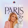 Weruva Paris Hilton Pamper Like Paris Chicken and Beef Dinner