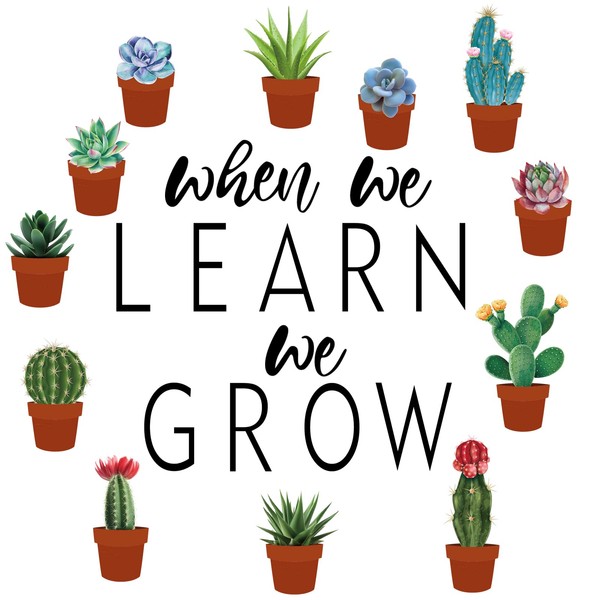 TaoBary 25 Pcs Succulents Cutouts Set Rustic Bloom Succulents Potted