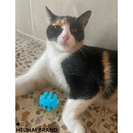 5-Piece Toy Balls with Bells – Hollow Cat Toys for Indoor Cats and Kittens (1.5'', Basic Cat Toy Set)