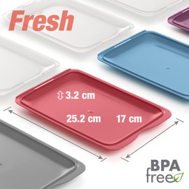 PracticFood Fresh System – High Quality Food Storage Boxes, Food Storage Container for Cold Cuts, Optimal Storage in the Fridge (4 x Practic)