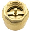 SHYNE SHYNE Premium 1 Zoll Rückschlagventil aus hochwertigem Messing robust,