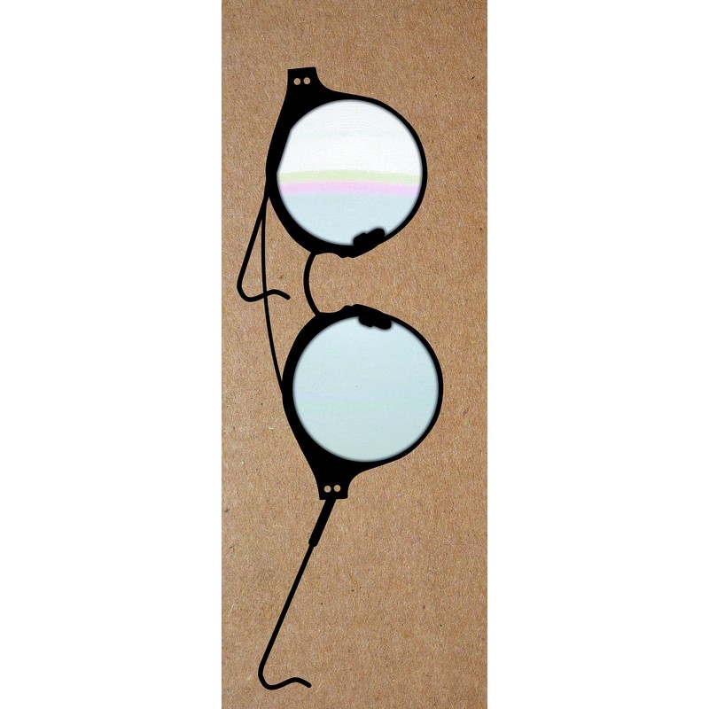 IF The Really Useful Magnifying Bookmark - The Academics