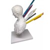 Unbranded Julius Caesar WHITE 3D PRINTED Pencil Holder Desktop Organizer