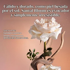 Saltair Desodorante En Suero Signature Scents, Paquete De 2. Fórmula Con 5% De Aha. Desodorante Con Ácido Láctico Y Ácido Mandélico. Control De Olores Sin Aluminio Para Mujeres Y Hombres. Ideal Para V