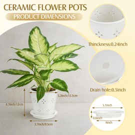 Suclain 2 Pcs 5 Inch Ceramic Orchid Pots with Holes Outdoor Indoor Orchid Planter Pot with Drainage Hole and Saucer Orchid Flower Pot Set for Repotting Promote Airflow Deter Over Watering (White)