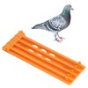 CHICIRIS 4Pcs Pigeon Leg Stand 4 Column Design Large Capacity