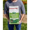 Patchmaster Lawn Repair Mix, Tall Fescue, 4.75-Lbs.