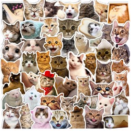 100 Pcs Cute Cat Stickers for Kids, Waterproof Stickers for Kids,Vinyl Stickers for Water Bottle,Laptop,Phone,Skateboard Stickers for KidsTeens Girls and Boys