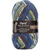 Opal Hundertwasser sock wool, 100 g, 150