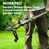 WORKPRO Stand Up Weed Puller Tool, Garden Dandelion Weeder Puller