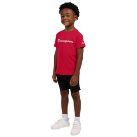 Champion Boys Shorts Sets 2 Piece Tee Shirt and Athletic Shorts for Kids