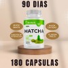 Matcha 100 Puro - Máxima Eficacia - 180 Días