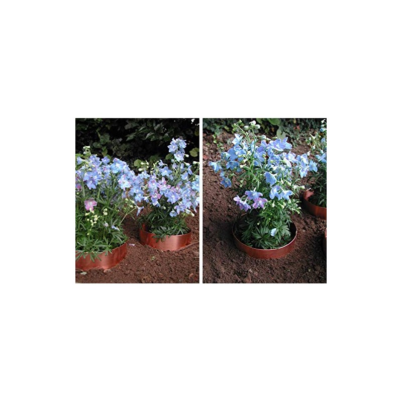 Slug Rings Copper Snail Rings Starter Kit 3 x 10cm