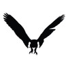 Wall Decal Eagle Flying Bird Eagle Parrots Hummingbird Sparrow Worm
