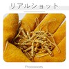 20 Pcs Lanyard Cord Netsuke Strap Parts, Key Chain, Keychain,