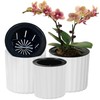 MUZHI Orchid Pot with Net and Holes, Round Self Watering