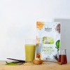 NOVA ORGANICS Organic Protein, Matcha & Vanilla, 7.4 oz (210