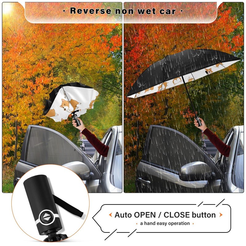 Coikll Large Windproof Umbrella Auto Open Folding Umbrella, 8 Ribs