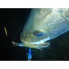 ECLIPSE Balor 90 Minnow, Lure, Lens Candy Glow Berry #087