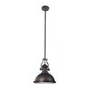 Hardware House 210942 1 Mini Pendant Light Fixture with English