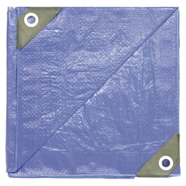 Dize Blue Poly Tarp - 25ft. x 40ft. Model Number PT2540