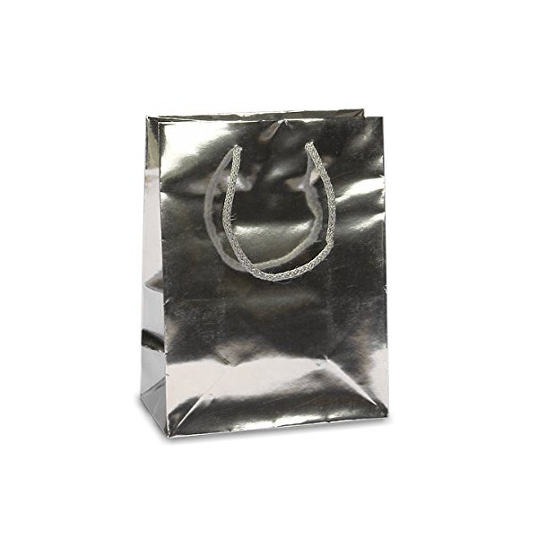 Paper Mart Metallic Silver Euro Bags | Quantity: 100 |