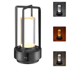 OSIDEN Crystal Table Lamp-3Color, Touch Adjustable Metal Bedside Lamps, Portable Small Night Light, USB Cordless Led Lights for Table, Bedroom, Camping（3000mAh ）
