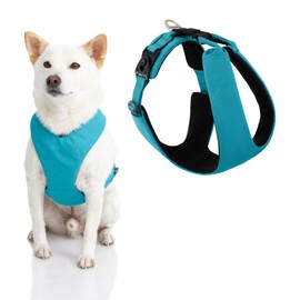Gooby Lite Gear Z Harness - Scratch Resistant Ergonomic Harness with Shock Absorption - Head-in Harness for Small or Medium Dogs