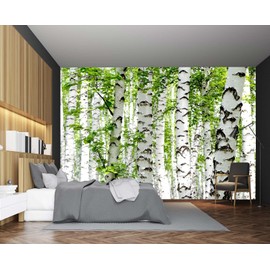 Cliouar-Photo Wallpaper Birch Forest Landscape Trees Poster Nature Lovers Green Forest Bedroom Decoration Mural 158"x110"(Not Self-Adhesive)