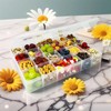 6 PCS Bead Organizer, Plastic Organizer Box, Transparent with Compartment