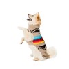 Chilly Dog Painted Desert (Small)