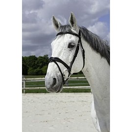 Symantec Norton Bridle Pro Shaft