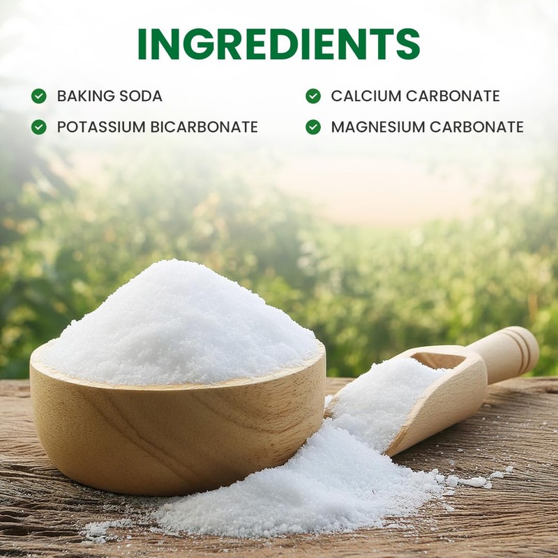 Alkaline Care PHOUR Salts - Alkaline Mineral Salts with Magnesium