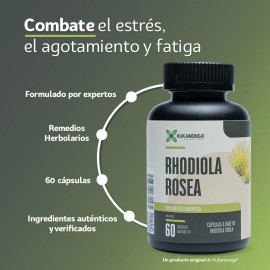 Rhodiola Rosea Premium Energa Y nimo Adaptgeno Concentracin Rendimiento intelectual Estrs Mejorar el nimo 60 Cpsulas 1000 Mg Cpsulas...