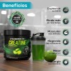 Creatina Monohidratada 300g Polvo Hydrashot