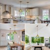 HDDFL Glass Pendant Lights Modern Pendant Lighting Fixtures Hanging Lamp