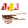 Lemon Squeezer Stainless Steel Long Handle Hand Held Juice Press
